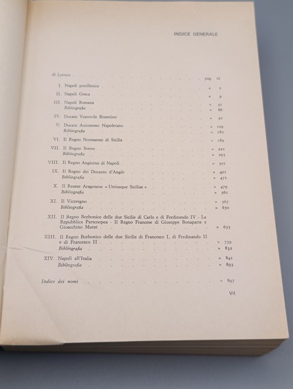 La Storia di Napoli dalle origini ai giorni nostri