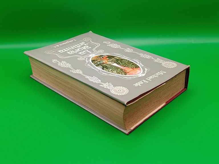 La Storia Infinita. Prima Edizione Testo Bicolore