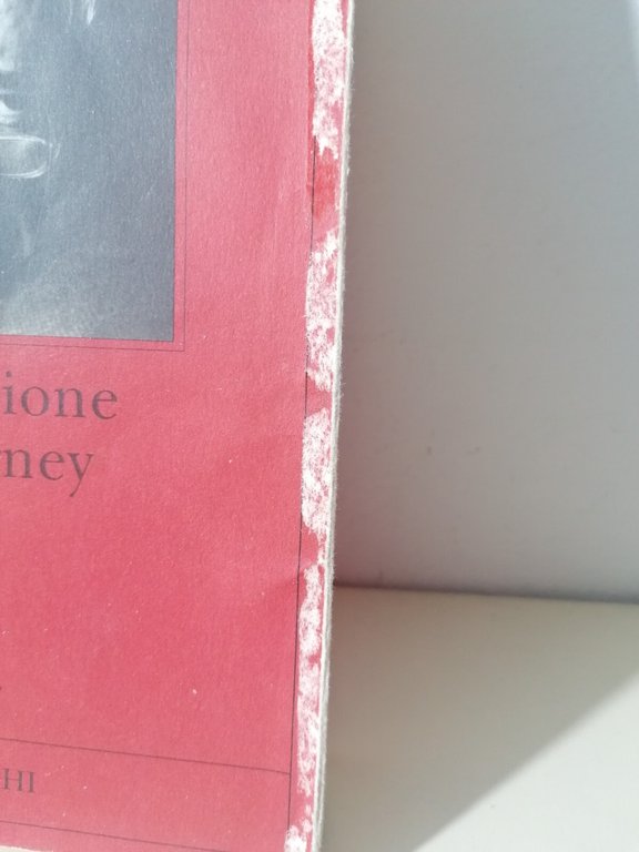 La versione di Barney