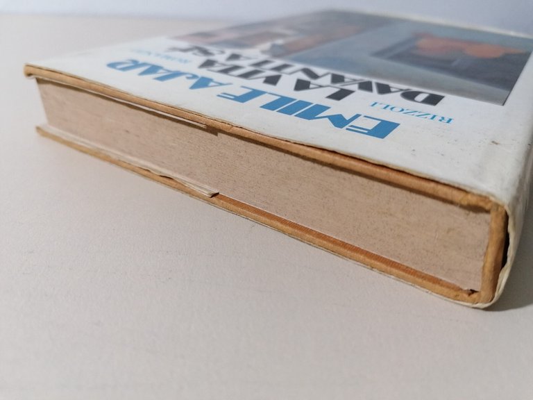 La Vita Davanti A Sé Libro Emile Ajar Romanzo 3^ …