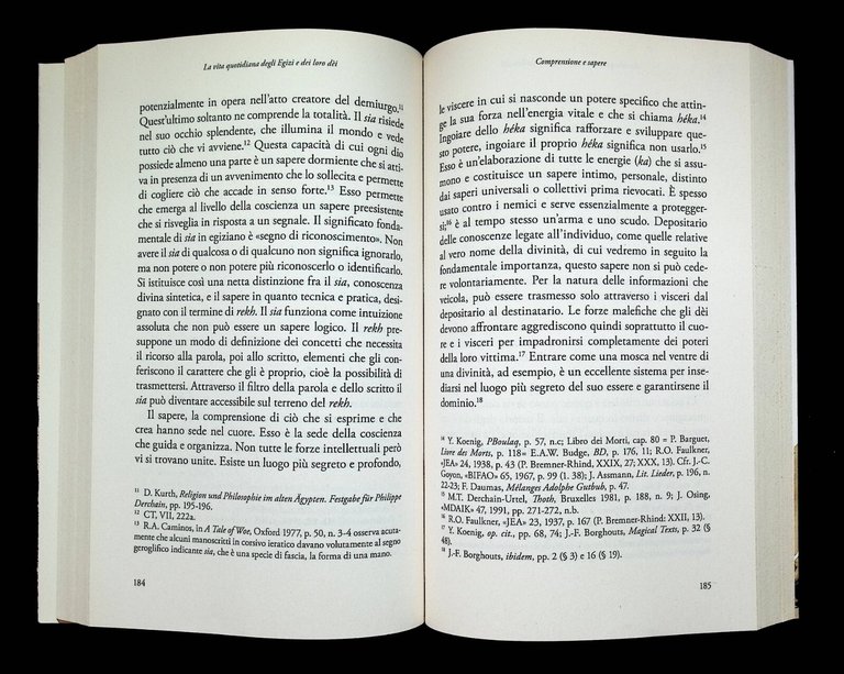La Vita Quotidiana degli Egizi e dei loro Dèi