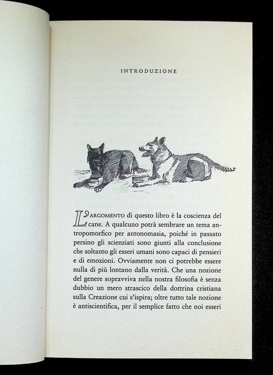 La vita segreta dei cani