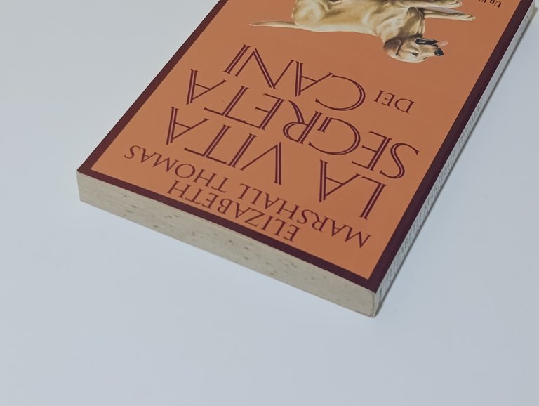 La vita segreta dei cani