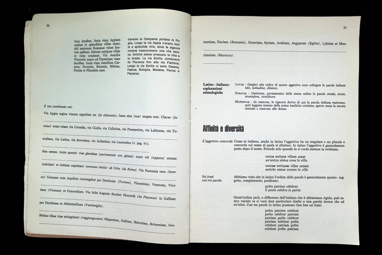 Latino Lingua Viva Libro Pittano Codrignani ED Scolastiche Media Mondadori …