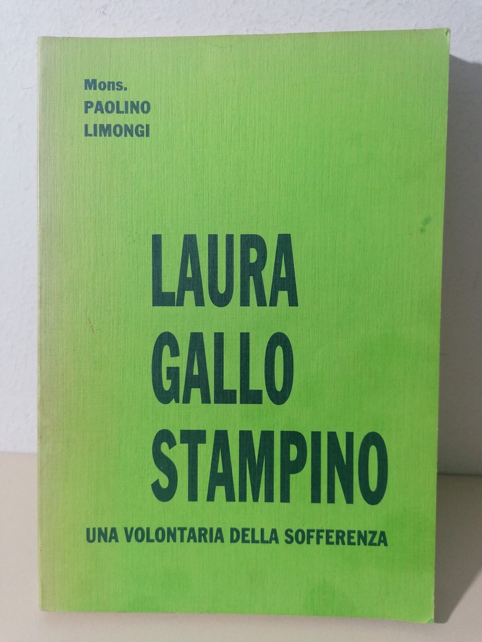 Laura Gallo Stampino Una Volontaria Della Sofferenza Libro Limongi Biografia …