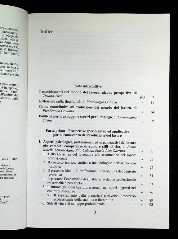 Lavoro e identità psicosociali. Sicurezza, flessibilità e precarietà