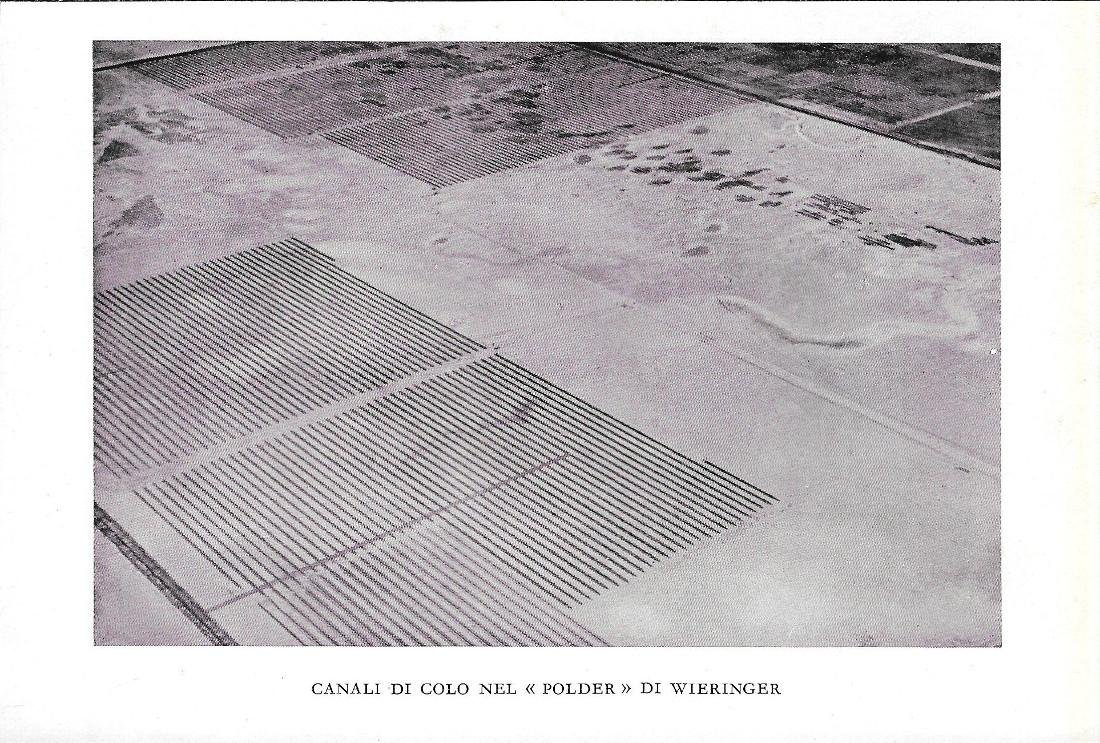 Le capre della regione del Terek. Stampa 1934 | Immagine principale