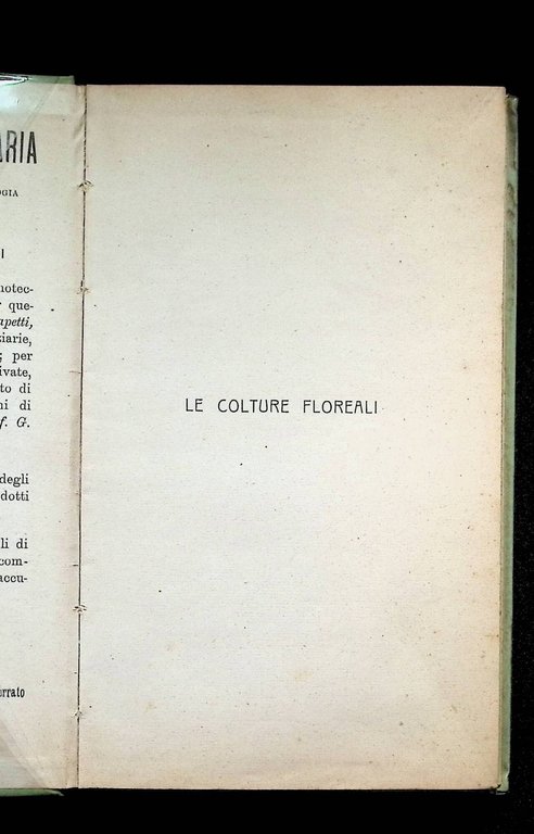 Le Colture Floreali Della Riviera Ligure | Immagine Gallery 3
