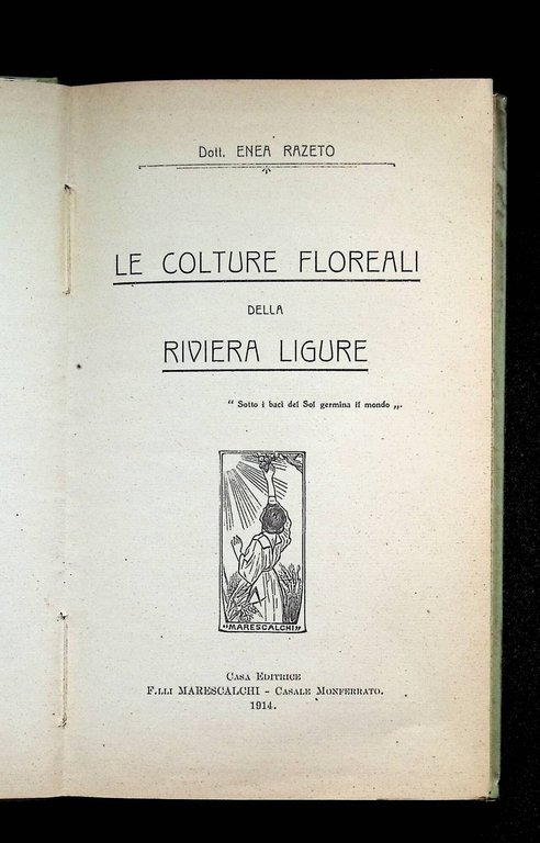 Le Colture Floreali Della Riviera Ligure | Immagine Gallery 4