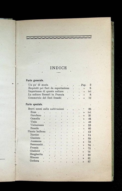 Le Colture Floreali Della Riviera Ligure | Immagine Gallery 5