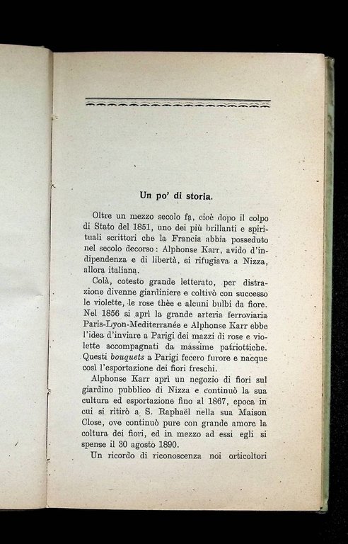 Le Colture Floreali Della Riviera Ligure | Immagine Gallery 7