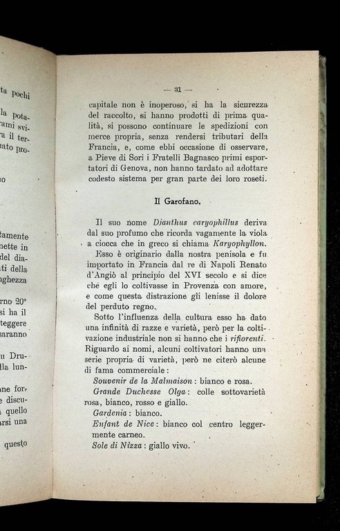 Le Colture Floreali Della Riviera Ligure | Immagine Gallery 8