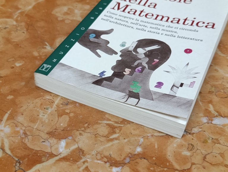 Le gioie della matematica | Immagine Gallery 4