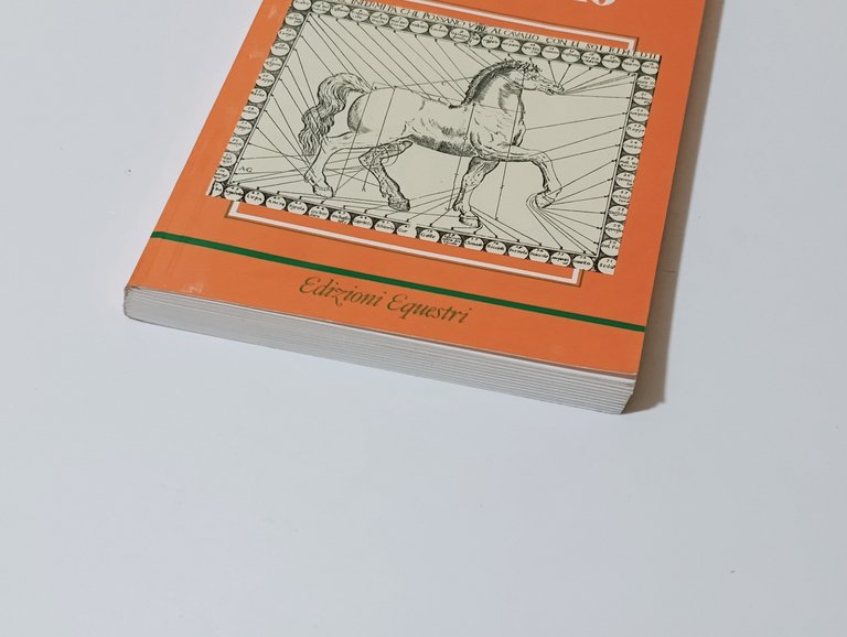 Le Malattie del Cavallo. 4^ Edizione | Immagine Gallery 5