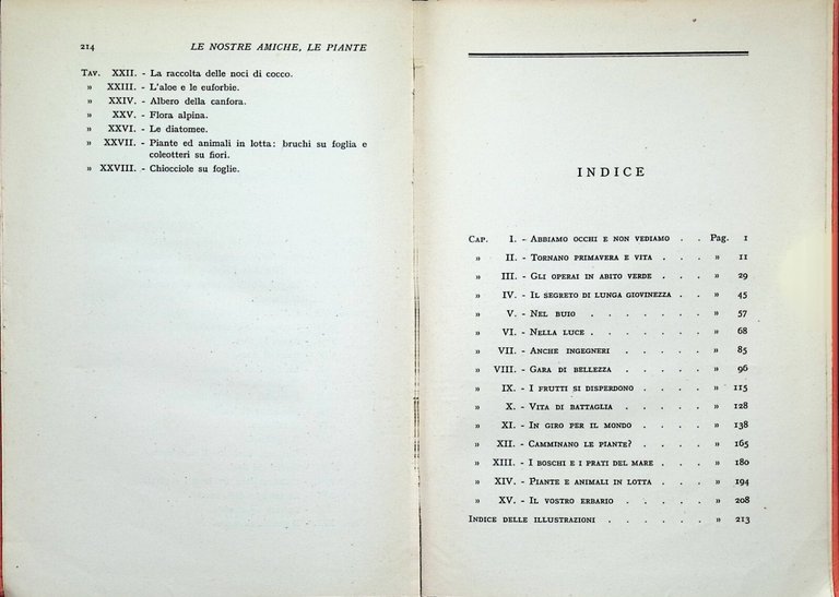 Le Nostre Amiche Le Piante Libro Bargoni Stura Iniziazioni Principato … | Immagine Gallery 8