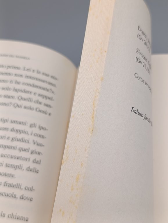 Le nude domande del Vangelo. Meditazioni proposte a Papa Francesco …