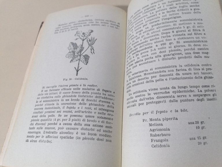 Le Piante Medicinali