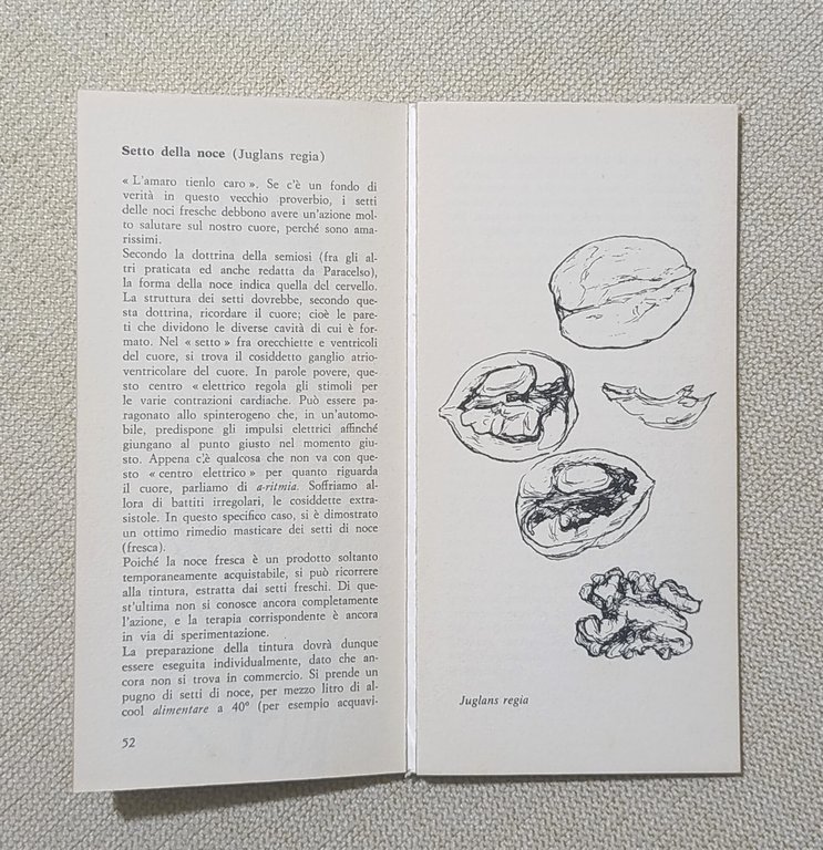 Le Piante Medicinali e il Cuore