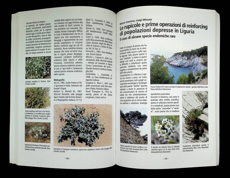 Le piante mediterranee autoctone nel settore ornamentale e paesaggistico