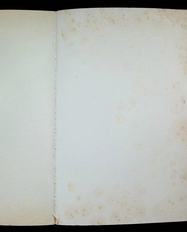 Le Regole Del Gioco Le Publicitor Libro Brochand Lendrevie Lupetti …