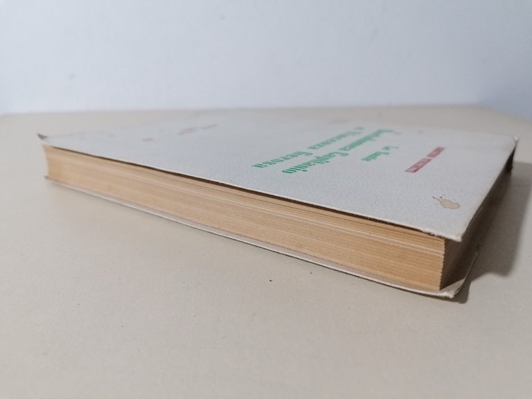 Le Sante Bartolomea Capitanio e Vincenza Gerosa Libro Stocchetti 2 …