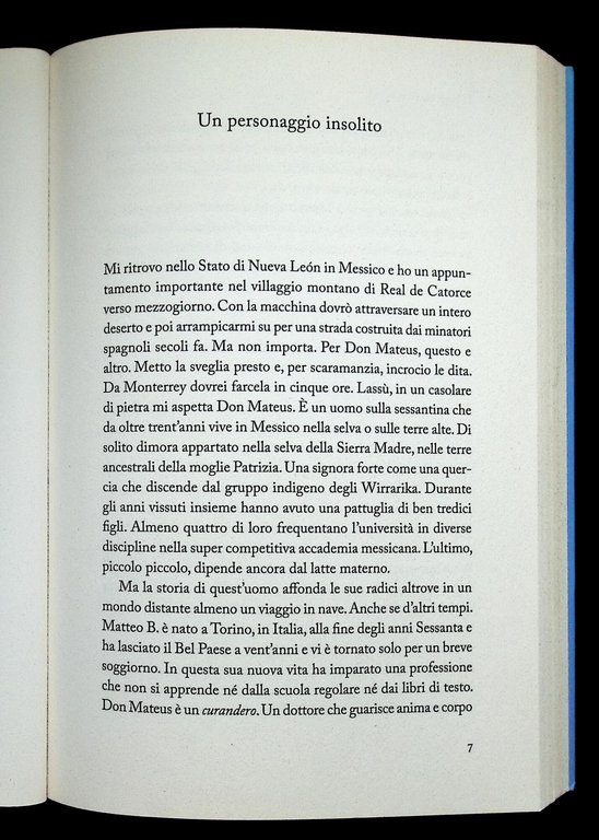 Leggere nel cuore: I segreti di un curandero | Immagine Gallery 4
