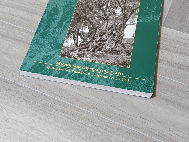 Lenga d'oju. Ulivi e olio, fatica e poesia. Microenciclopedia dell'ulivo