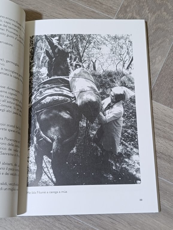 Lenga d'oju. Ulivi e olio, fatica e poesia. Microenciclopedia dell'ulivo