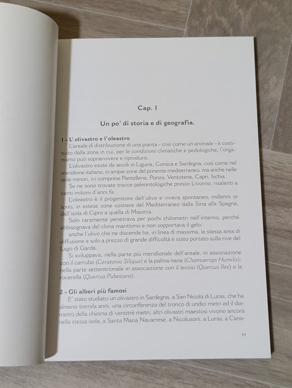 Lenga d'oju. Ulivi e olio, fatica e poesia. Microenciclopedia dell'ulivo