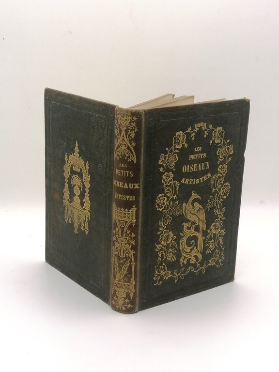 Les Petits Oiseaux Des Artistes
