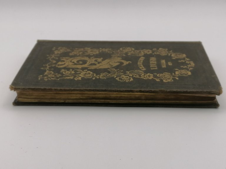 Les Petits Oiseaux Des Artistes