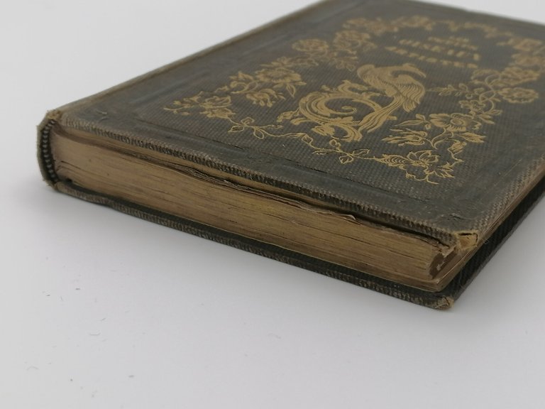 Les Petits Oiseaux Des Artistes