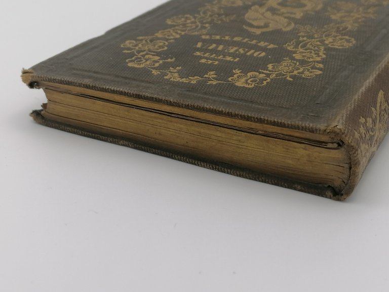 Les Petits Oiseaux Des Artistes