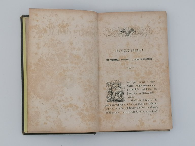 Les Petits Oiseaux Des Artistes