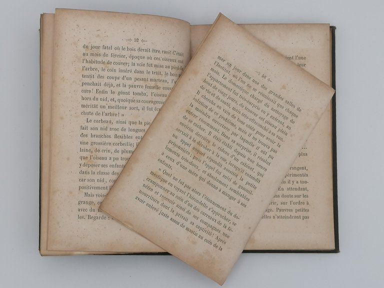 Les Petits Oiseaux Des Artistes