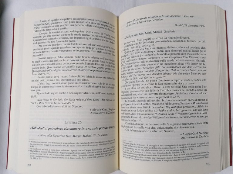 Lettere dal Martirio Quotidiano | Immagine Gallery 5