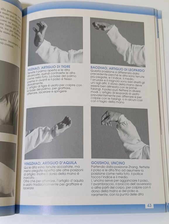 Lezioni di Kungfu Wushu. Guida Pratica Fotografica