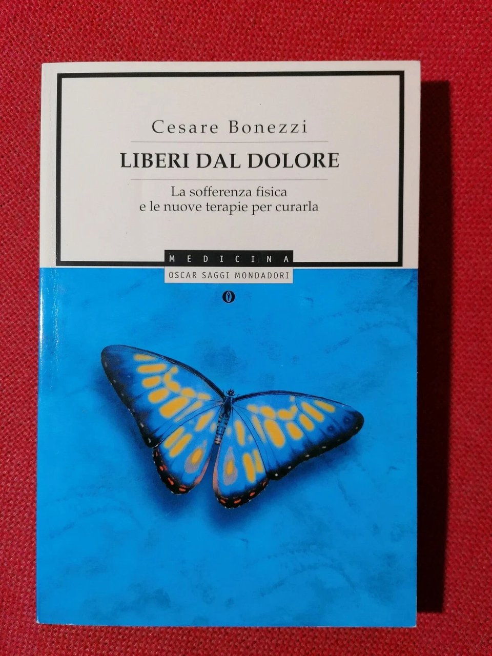 Liberi dal Dolore Libro Bonezzi Nuove Terapie per il Dolore …