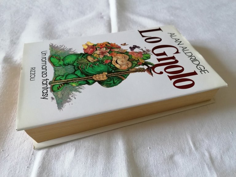 LIBRO Alan Aldridge - Lo Gnolo - Romanzo Fantasy - …
