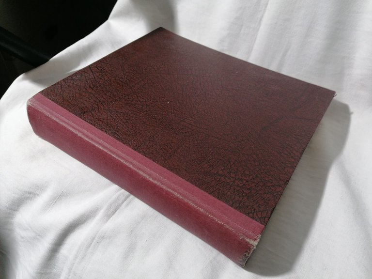 Libro CATALOGO BOLAFFI della pittura italiana dell'Ottocento n. 9 Marini …