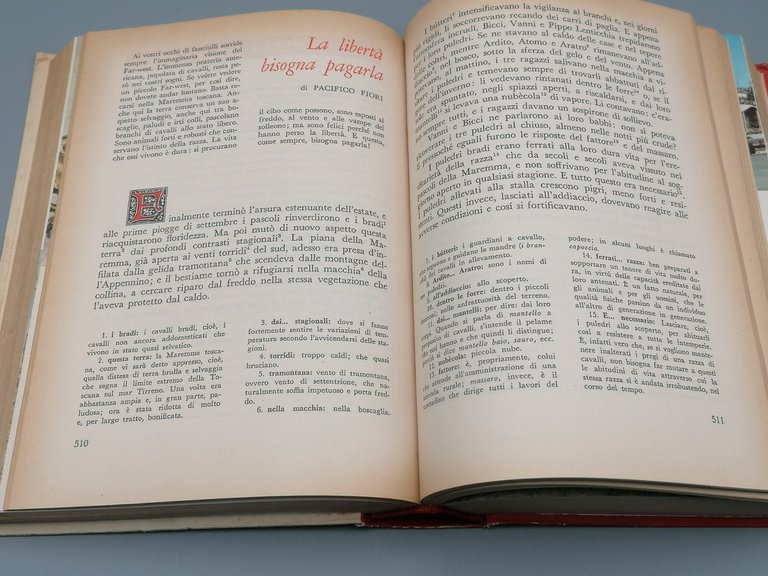 Libro Gran Pavese Antologia Italiana Scuola Media 1963 D'Anna Verusio