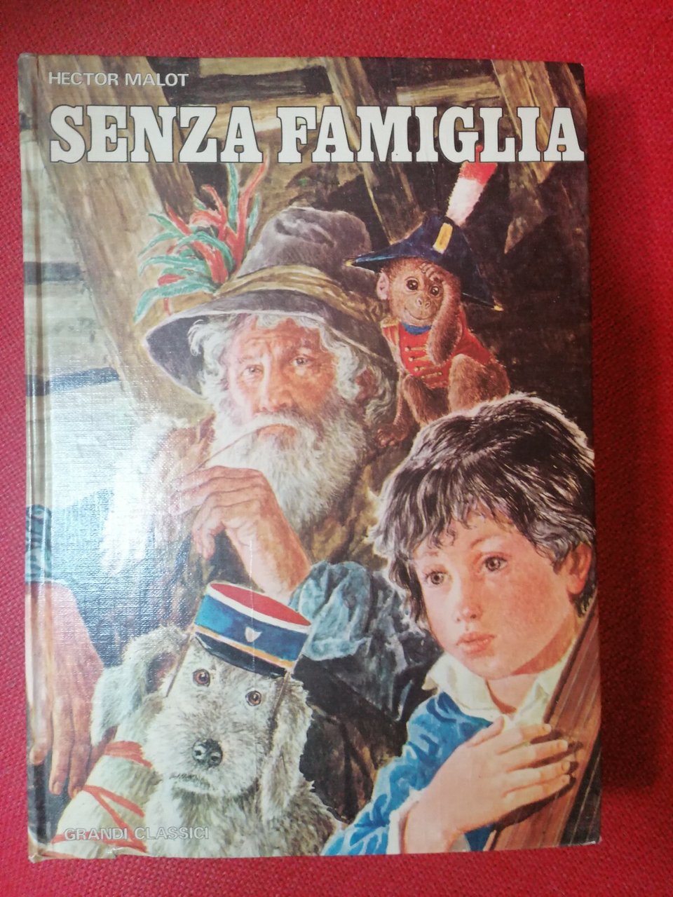 LIBRO HECTOR MALOT - SENZA FAMIGLIA - ILLUSTRAZIONI GIANNI BENVENUTI …