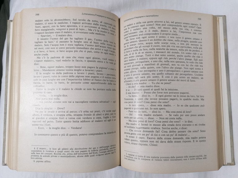 Libro IL NOVECENTO cultura letteratura società Getto Solari Minerva Italica