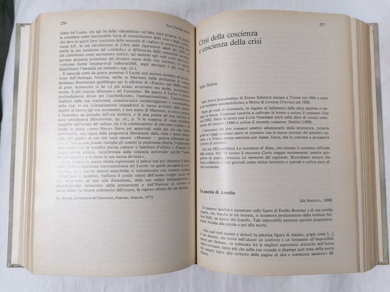 Libro IL NOVECENTO cultura letteratura società Getto Solari Minerva Italica