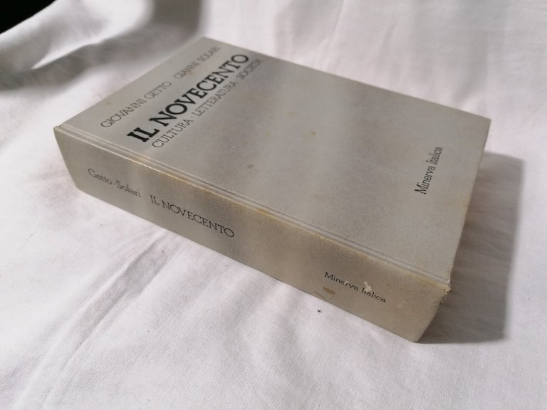 Libro IL NOVECENTO cultura letteratura società Getto Solari Minerva Italica