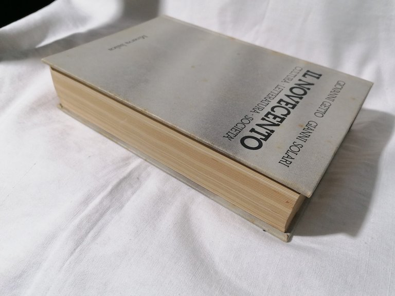 Libro IL NOVECENTO cultura letteratura società Getto Solari Minerva Italica