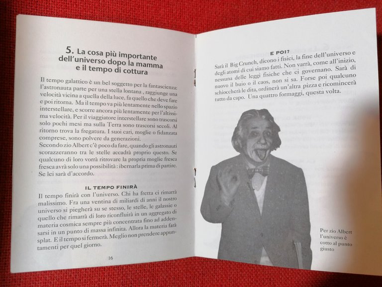 LIBRO Luca Novelli Albert Einstein Ci vuole una Fisica Bestiale …