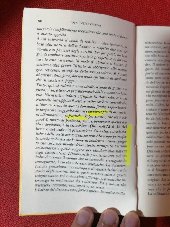 LIBRO Nietzsche, Al di là del bene e del male …