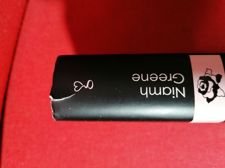 LIBRO TUTTE PAZZE PER CHANEL NIAMH GREENE ROMANZO NEWTON COMPTON …