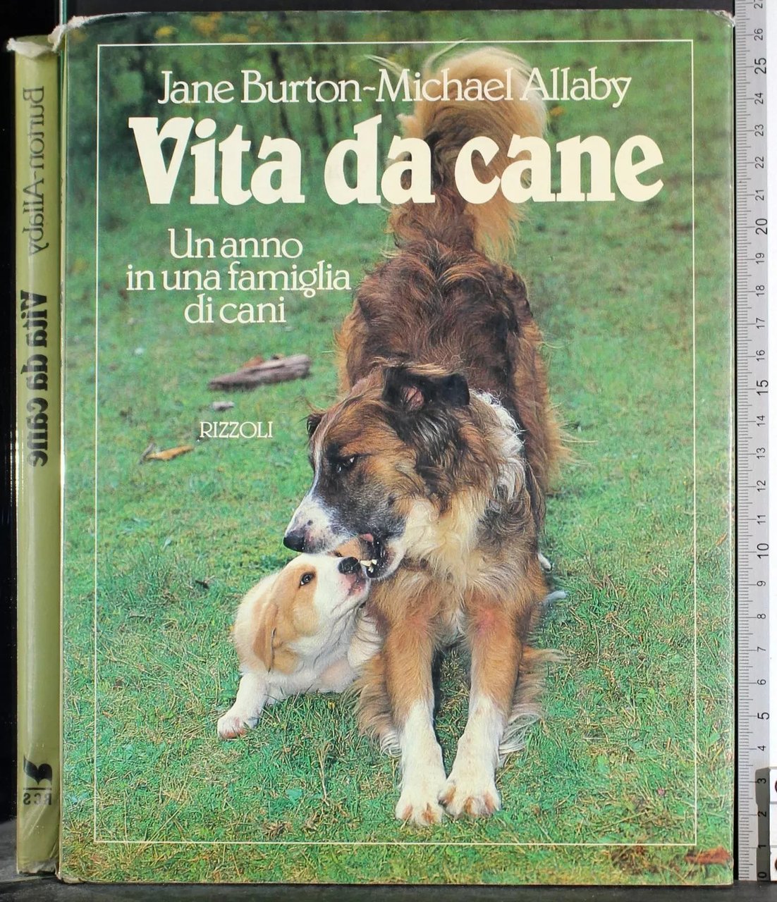 LIBRO VITA DA CANE BURTON JANE - ALLABY MICHAEL RIZZOLI …